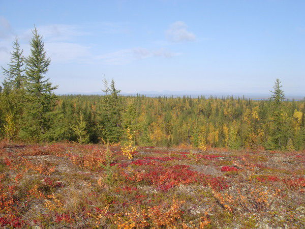 Наталья Григорьева