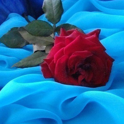 Лейсана Абдуллина