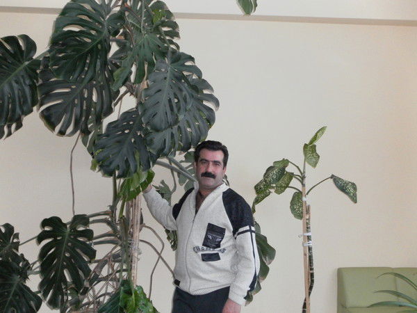 Айк Багдасарян