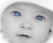 Алексей Козик