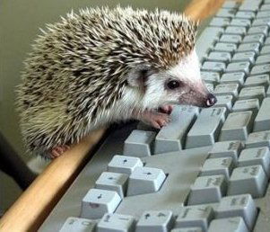 Елена Исаева