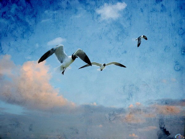 Анастасия Поддубная