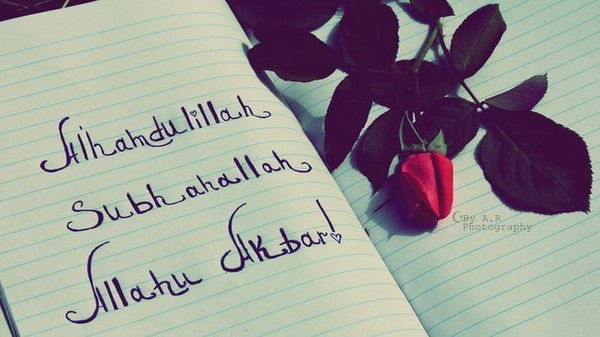 ***гибрат Тулегенова