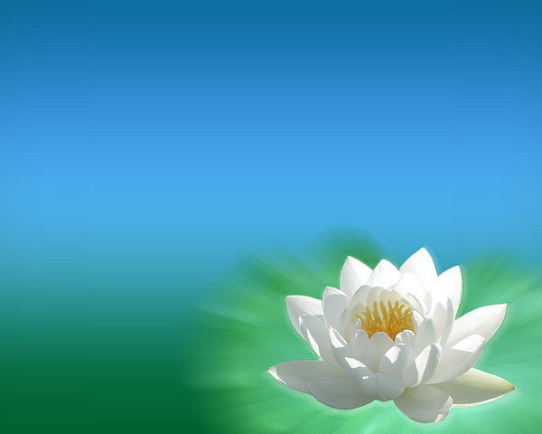 Клара Закирова