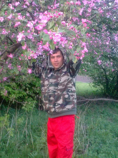 Андрей Алфимов