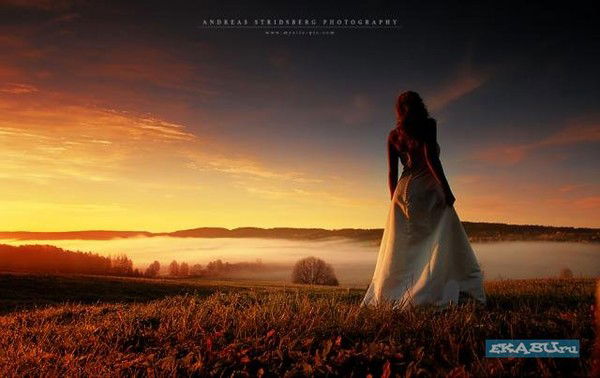 $ Севиль $ Россия