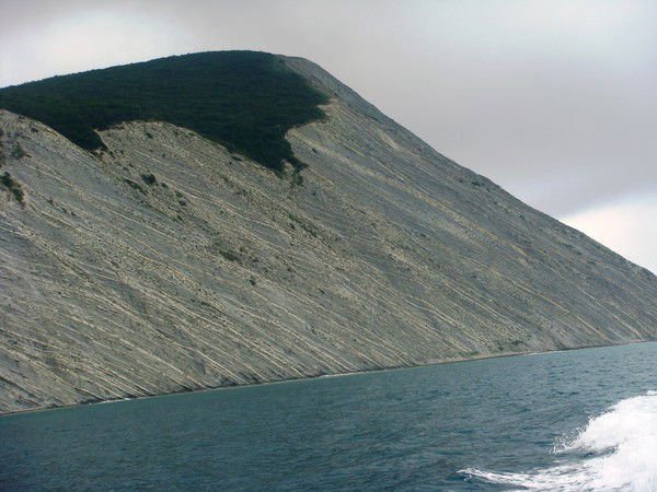 Елена Афоничева