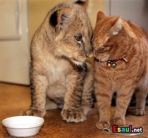 Дмитрий Граблин