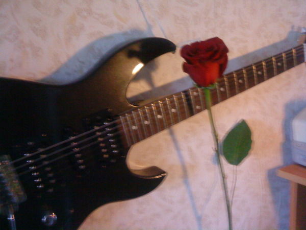 Александр Владимирович