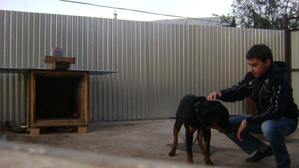 Кирюха Авдеев