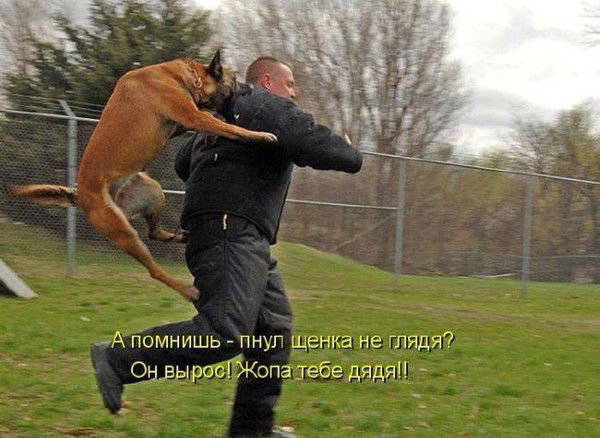 Хамидбек Джабаркулов