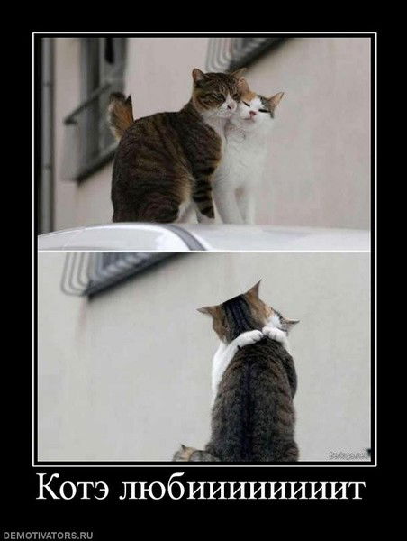 Сэнс Кариер