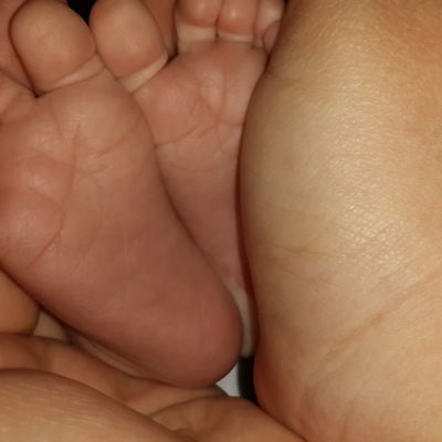 Анна Кроличенко