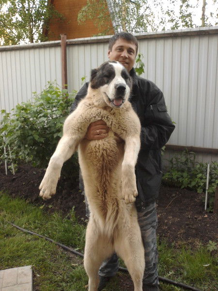 Андрей Касьянов