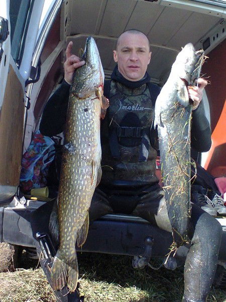 Олександр Лафета