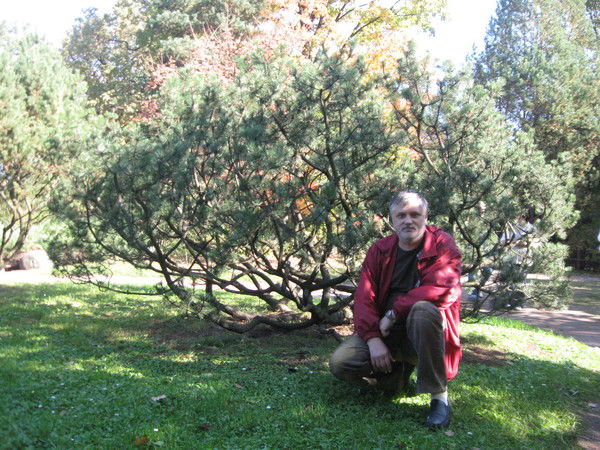 Владимир Зуйков