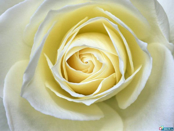 Асель Калиева