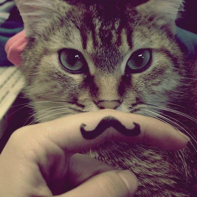 Алиса Рихтер