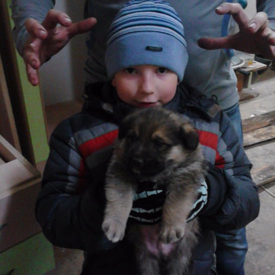 Евгений Тарамина