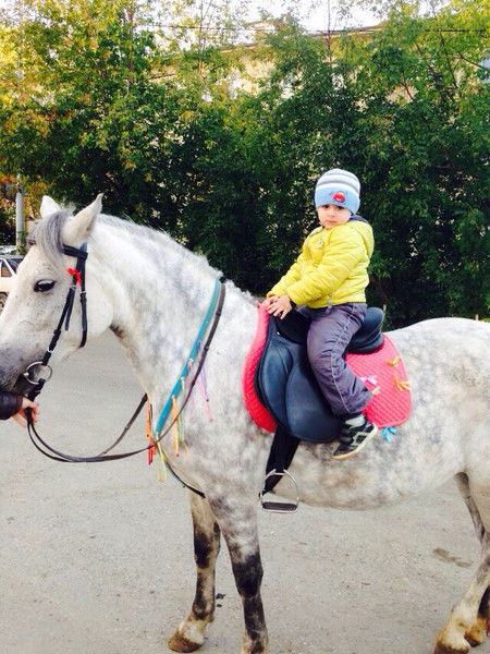 Шахин Ахмедов