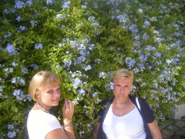 Татьяна Никитич