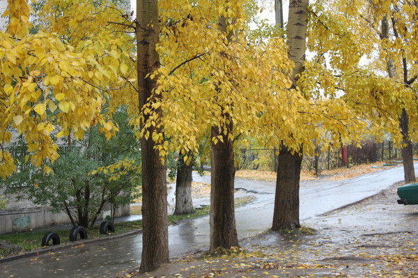 Наталья Александровна