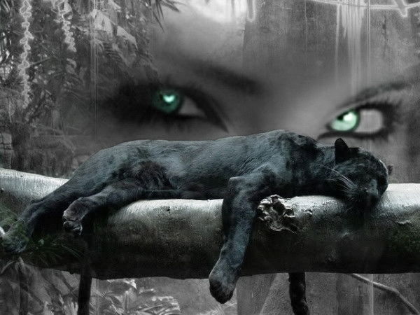 Валерия Данилова