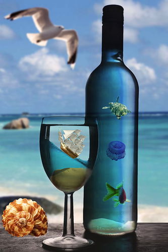 Аида Касымова