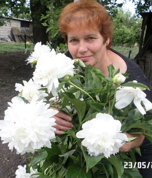 Валентина Кожевникова