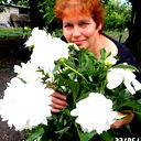 Валентина Кожевникова