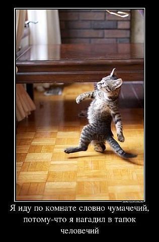 Мария Подолян