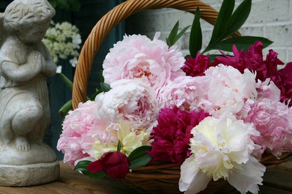 Клара Джумагалиева