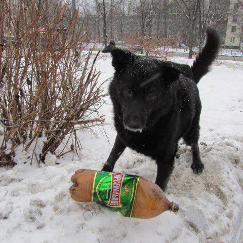 Владимир Баронин