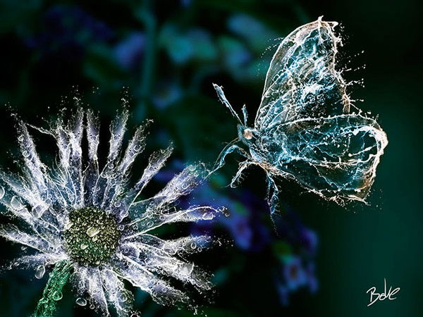 Вареник ******