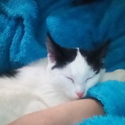 Яна Шерстка