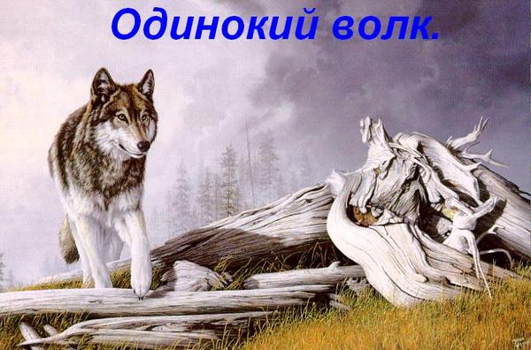 Сергей Савелькин