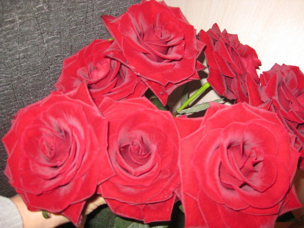 Инна Фомина