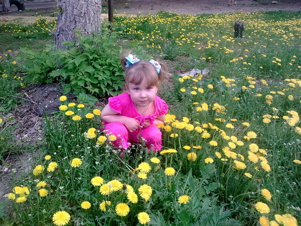 Алла Старова