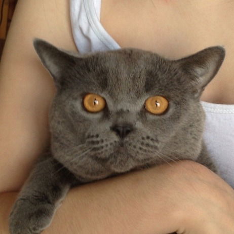 Лю Козявкина