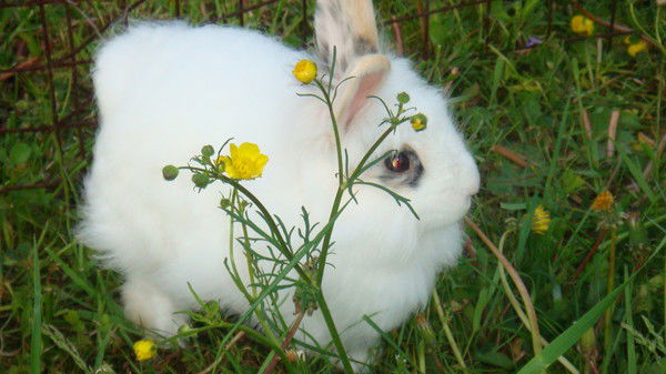 Татьяна Жаркова