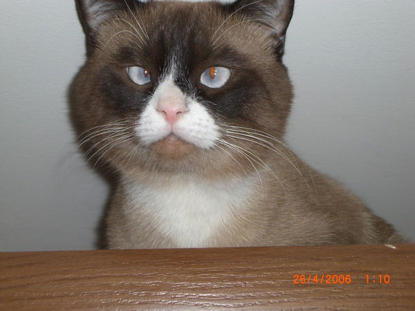 Дмитрий Дмитриев