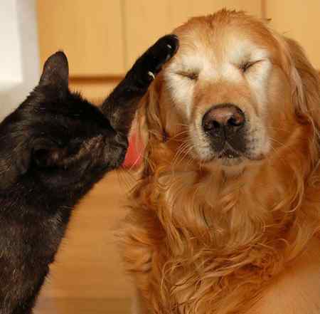 Николай Пауков