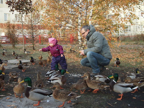 Михаил Суратов