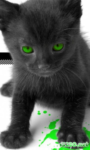 Игорь Дрозд