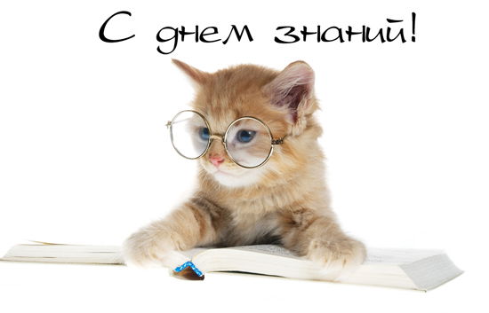 Мадина Халматова