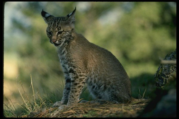 Татьяна Татьяна