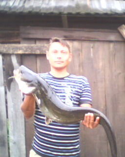 Михаил Полковников