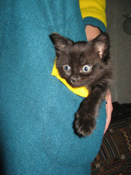 Валерий Иванов