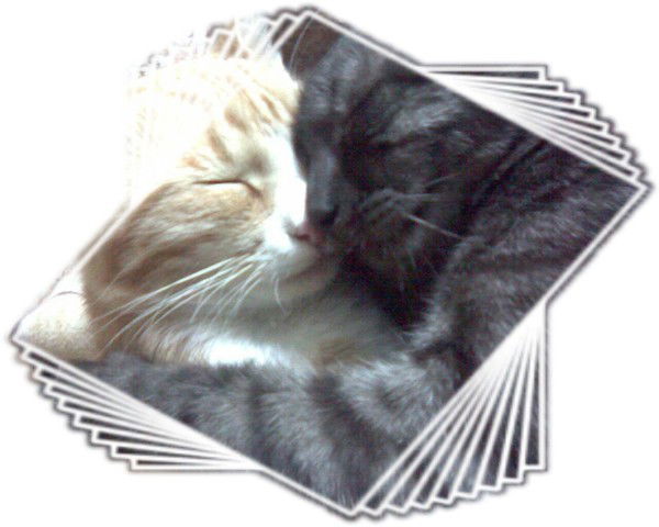 Надежда Романова