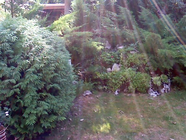 Мельниченко Ирина